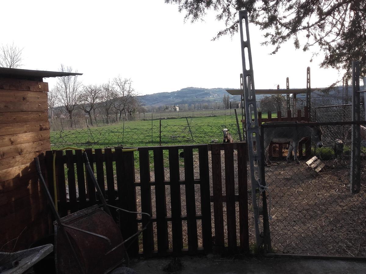 B&B La Quiete Foligno Exteriér fotografie